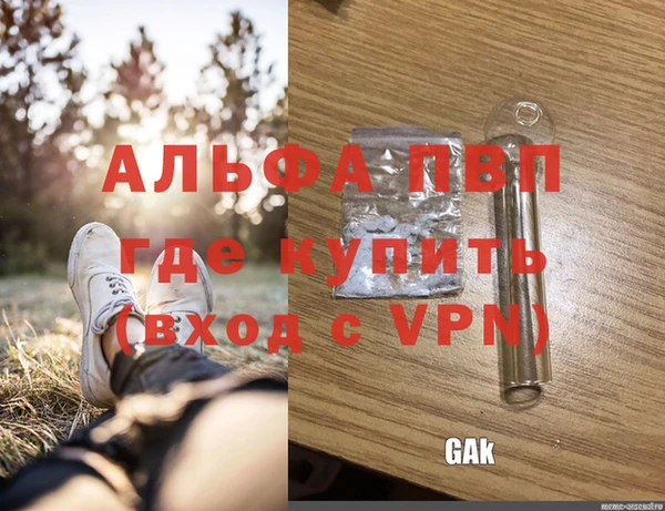 ALPHA PVP Инта