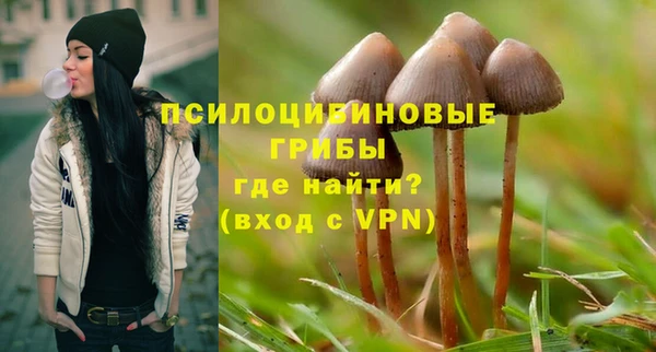 таблы Инсар