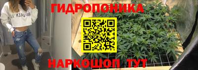 ПСИЛОЦИБИНОВЫЕ ГРИБЫ Волгодонск