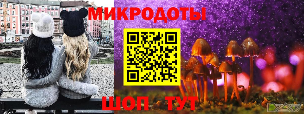 дарнет шоп  Псилоцибиновые грибы мицелий  Вход с VPN  Заволжье 